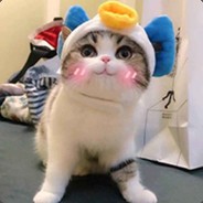 44y.zZz